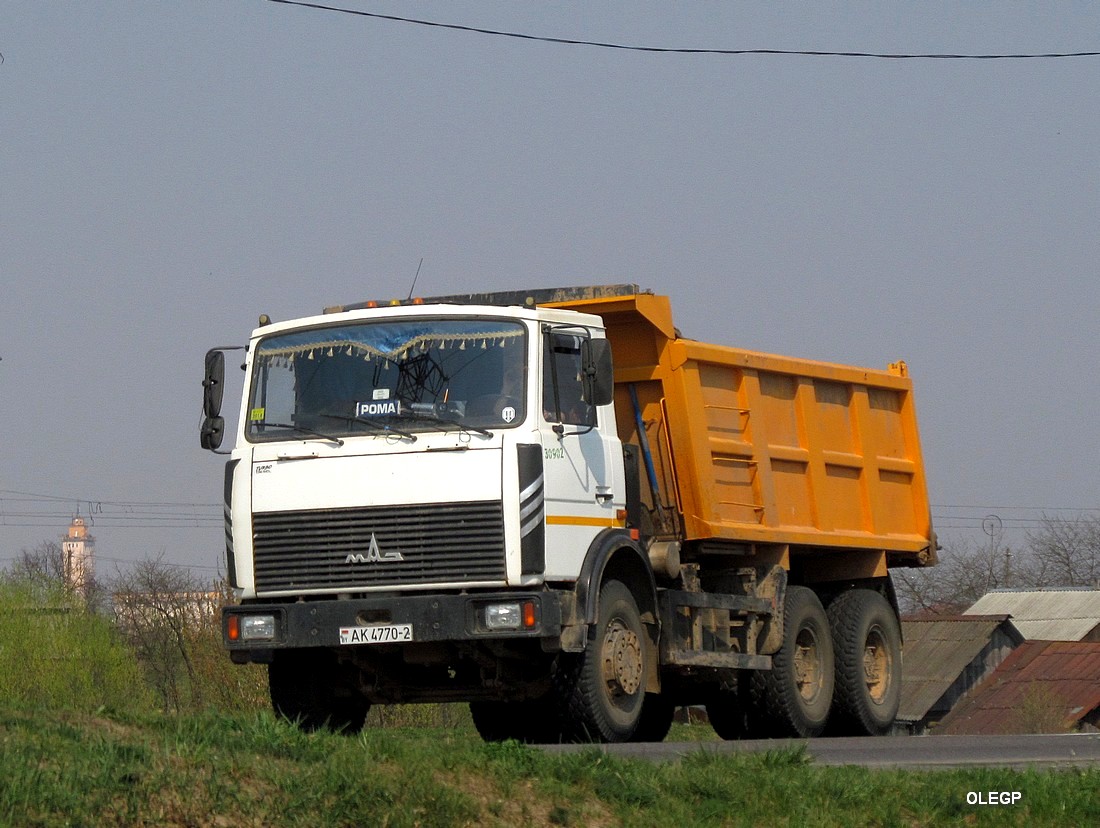 Витебская область, № 030902 — МАЗ-5516 (общая модель)