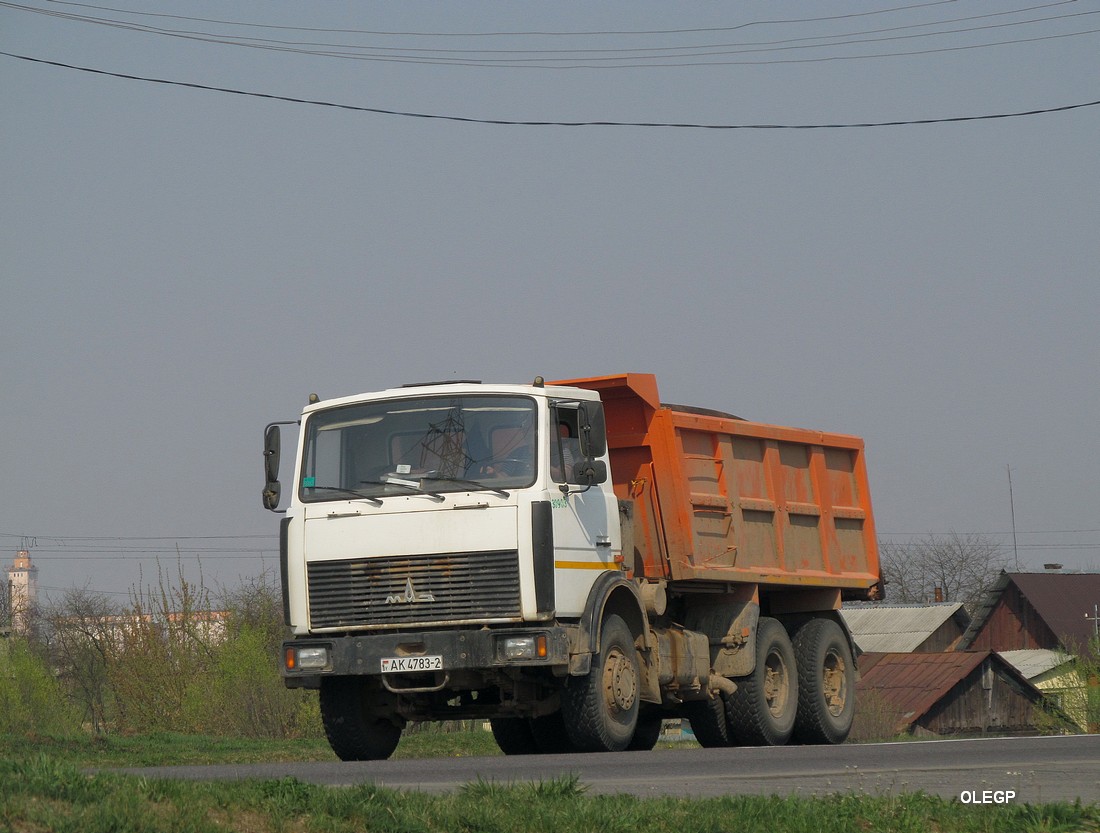 Витебская область, № 030903 — МАЗ-5516 (общая модель)
