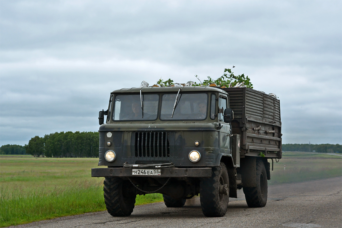 Омская область, № Н 246 ЕА 55 — ГАЗ-66 (общая модель)