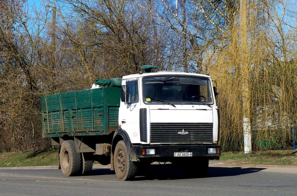 Могилёвская область, № АЕ 6825-6 — МАЗ-5337 (общая модель)