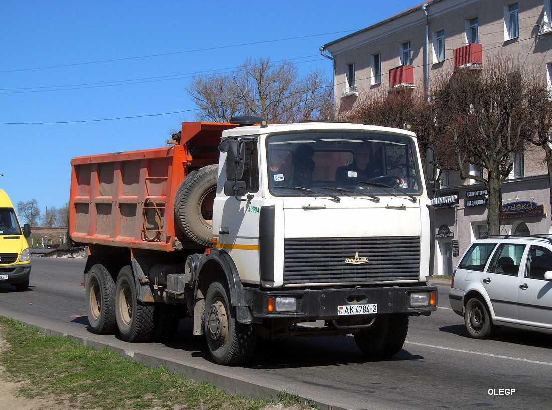 Витебская область, № 030904 — МАЗ-5516 (общая модель)