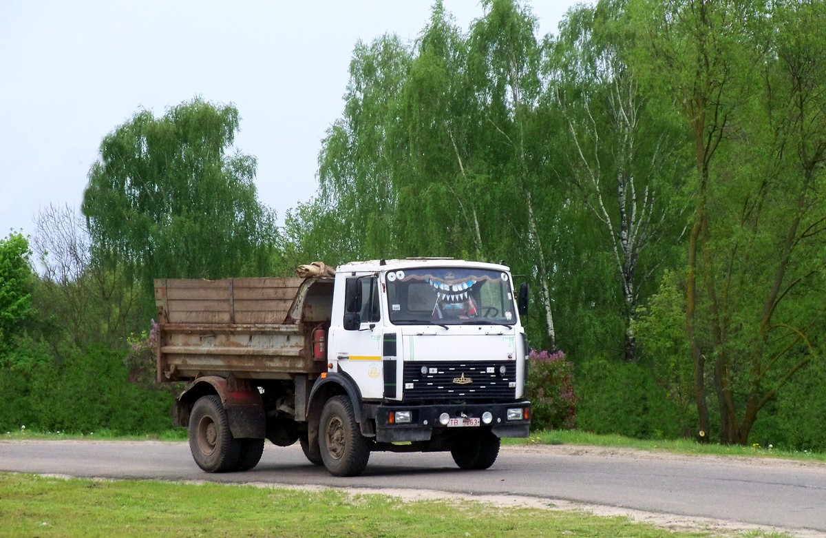 Могилёвская область, № ТВ 5063 — МАЗ-5551 (общая модель)
