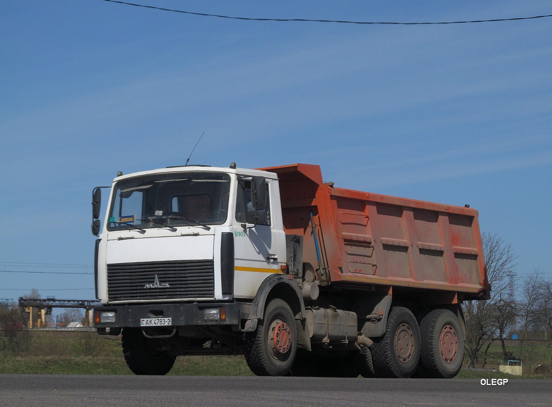 Витебская область, № 030903 — МАЗ-5516 (общая модель)