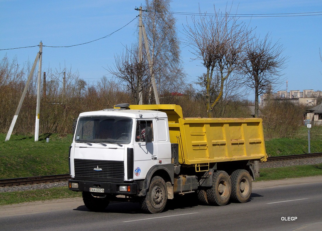 Могилёвская область, № АА 4240-6 — МАЗ-5516 (общая модель)