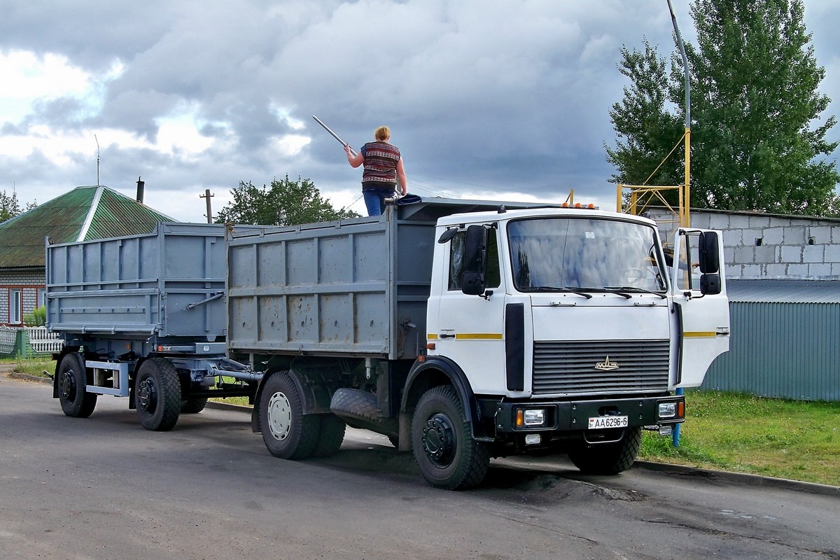 Могилёвская область, № АА 6296-6 — МАЗ-5551 (общая модель)