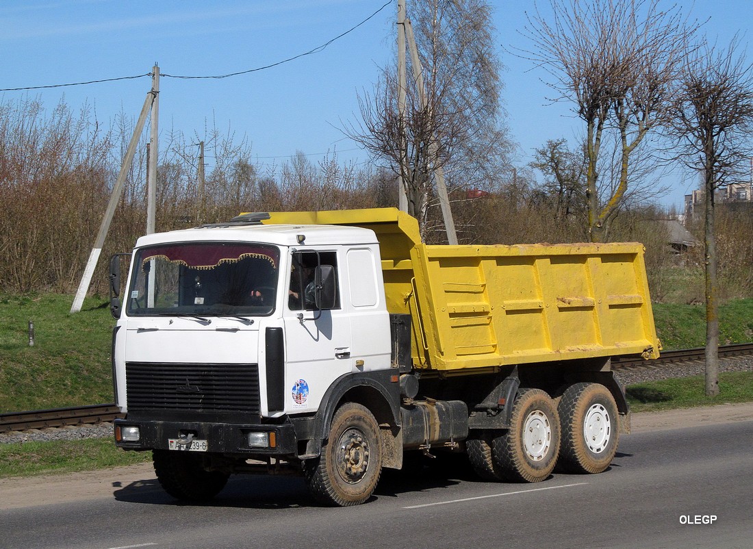 Могилёвская область, № АА 4239-6 — МАЗ-5516 (общая модель)