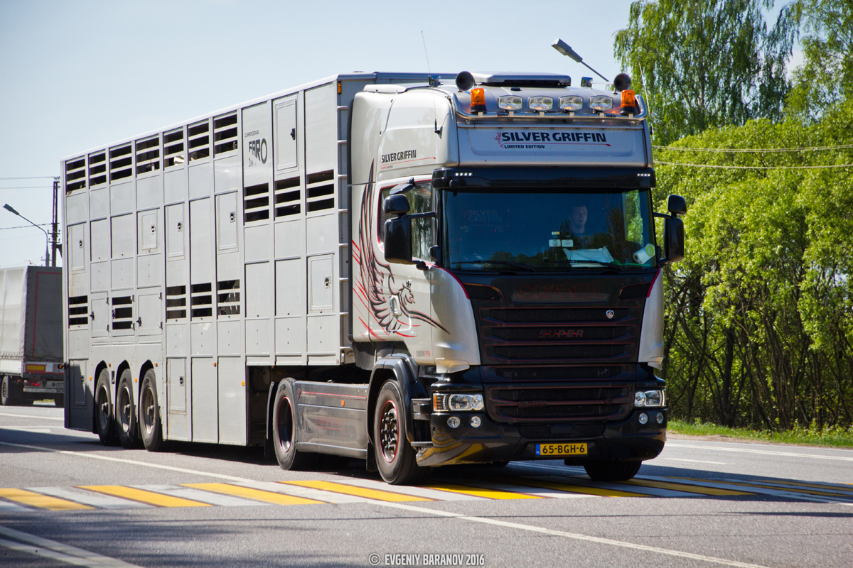 Нидерланды, № 65-BGH-6 — Scania ('2013) R580; Scania ('2013) R-Series "Silver Griffin" (Смоленская область)