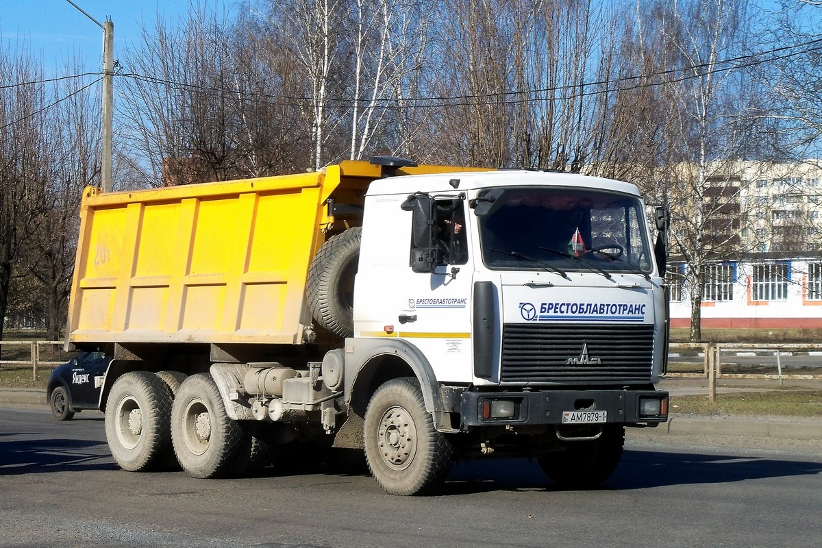 Брестская область, № АМ 7879-1 — МАЗ-5516 (общая модель)