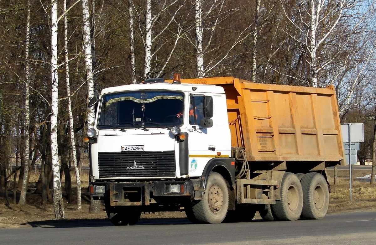Могилёвская область, № 4623 — МАЗ-5516 (общая модель)