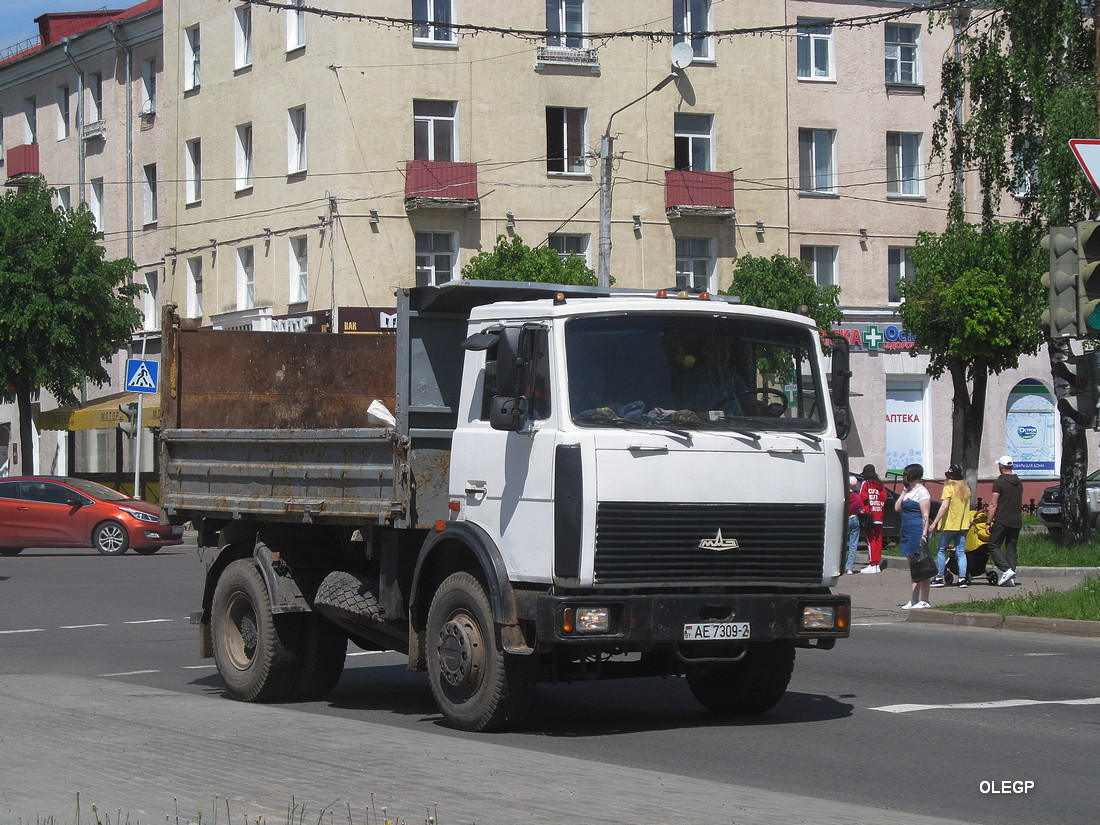Витебская область, № АЕ 7309-2 — МАЗ-5551 (общая модель)