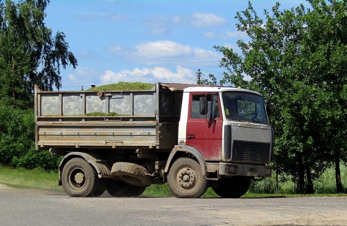 Могилёвская область, № АА 6602-6 — МАЗ-5551 (общая модель)