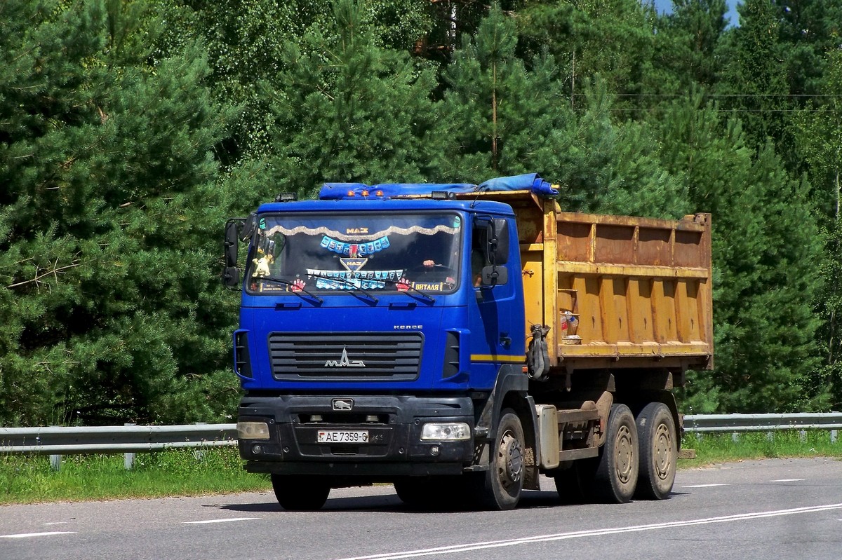 Могилёвская область, № АЕ 7359-6 — МАЗ-6501 (общая модель)