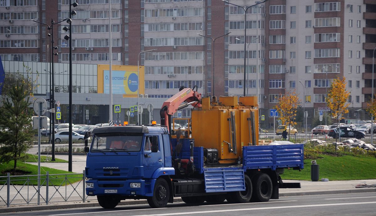 Омская область, № Р 254 УЕ 55 — КамАЗ-65117-N3(78)