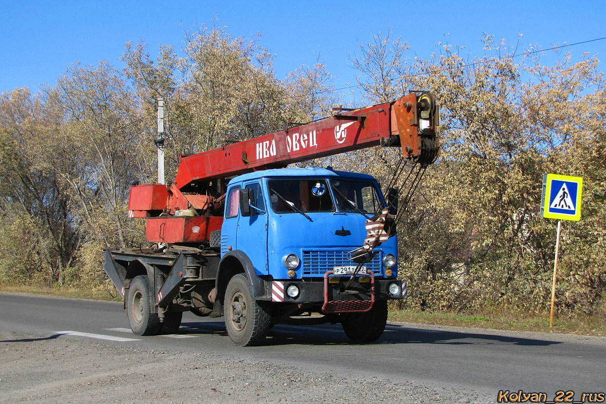 Алтайский край, № Р 291 ТК 22 — МАЗ-5334