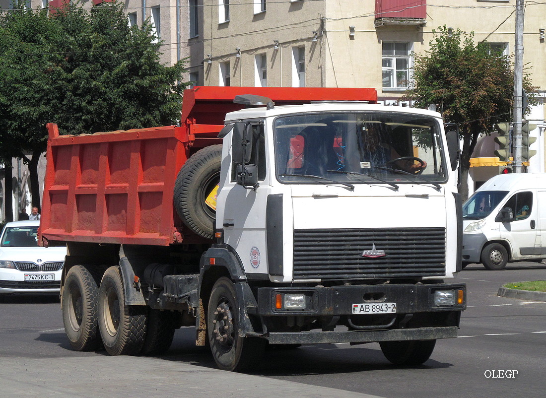 Витебская область, № АВ 8943-2 — МАЗ-5516 (общая модель)