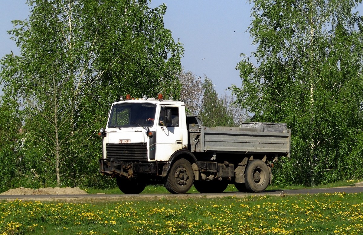 Могилёвская область, № ТВ 5081 — МАЗ-5551 (общая модель)
