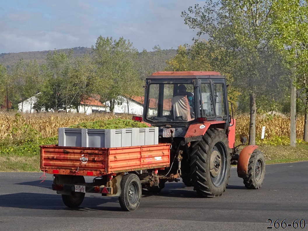 Венгрия, № YJL-073 —  Прочие модели; Венгрия — Сбор винограда в Венгрии