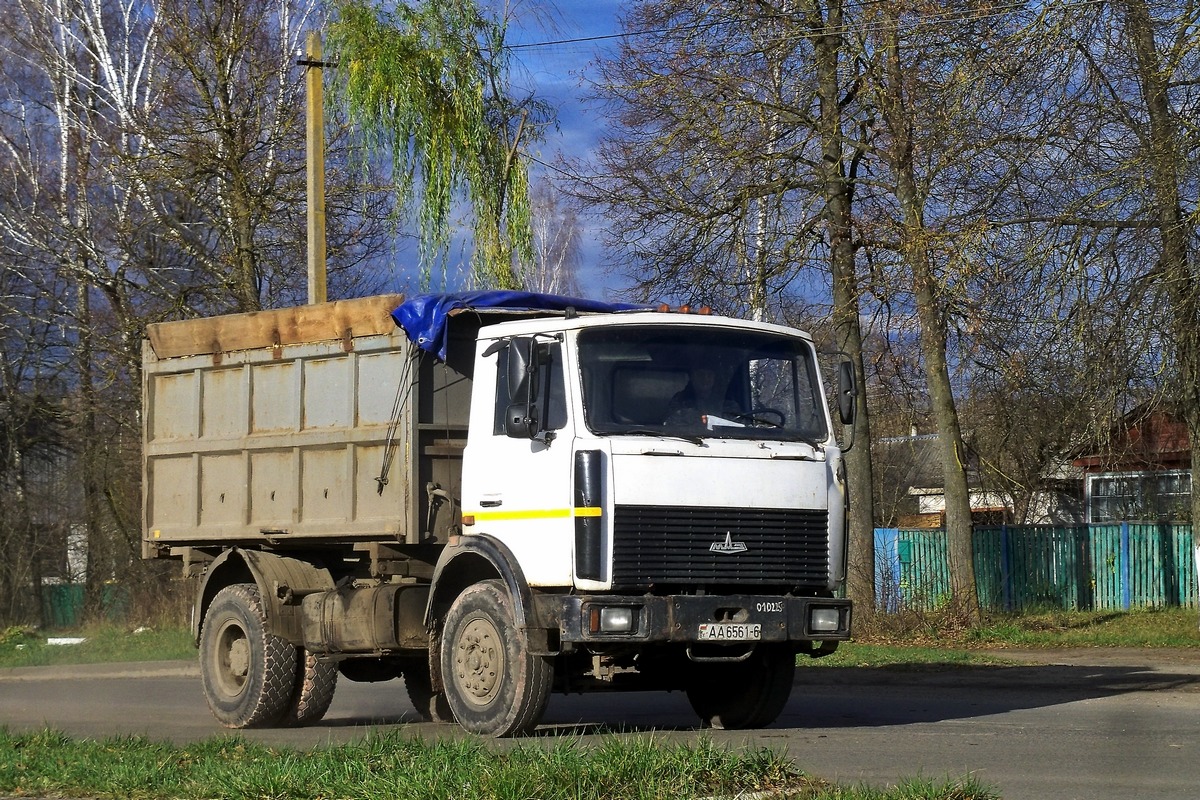 Могилёвская область, № АА 6561-6 — МАЗ-5551 (общая модель)