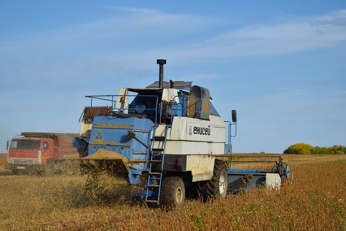 Алтайский край, № 6572 ЕА 22 — Енисей-950 / 959