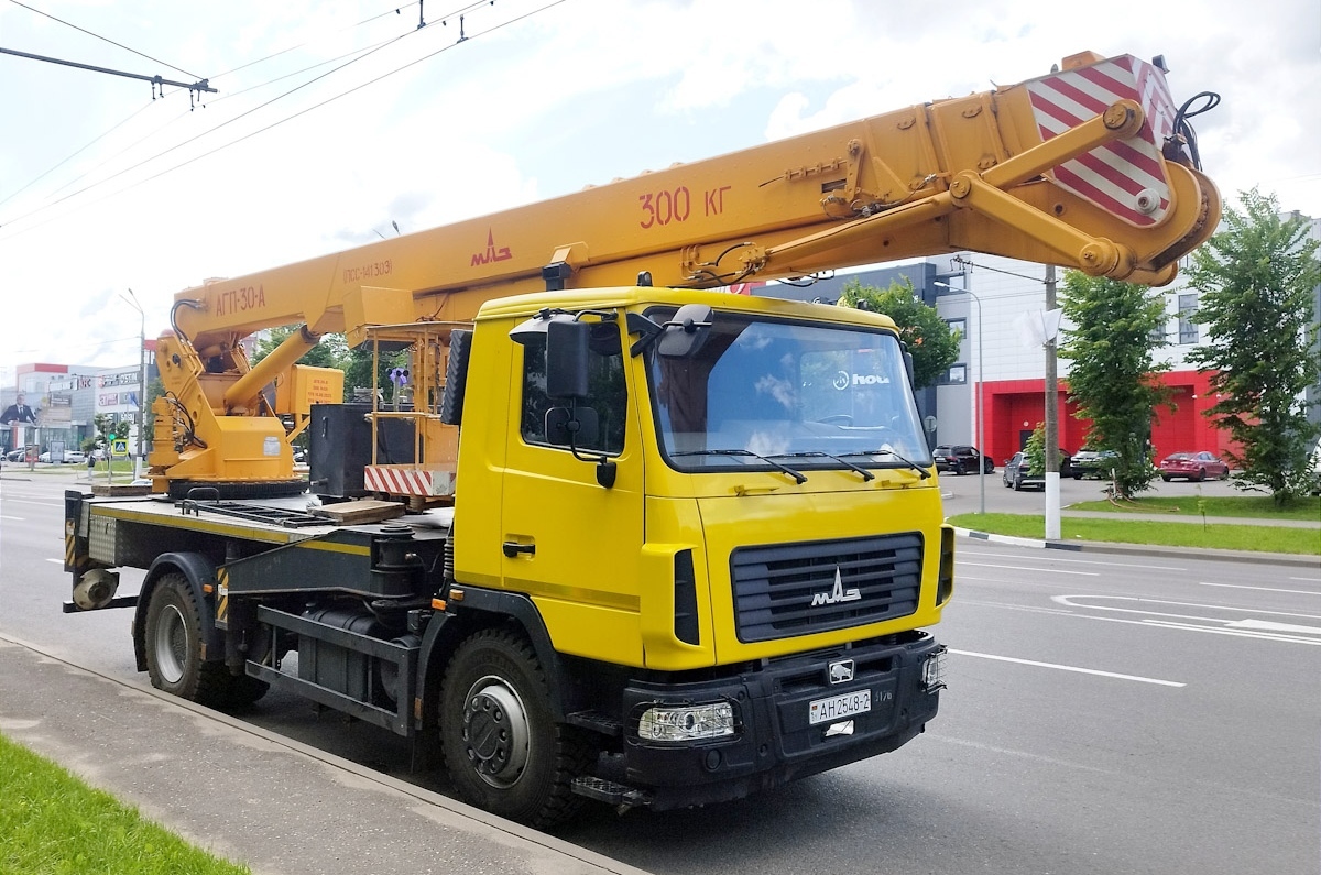 Витебская область, № АН 2548-2 — МАЗ-4371 (общая модель)