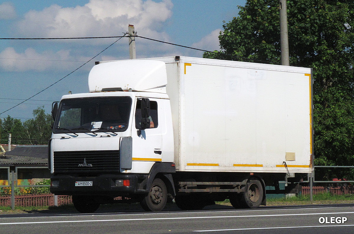 Витебская область, № АН 6500-2 — МАЗ-4371 (общая модель)