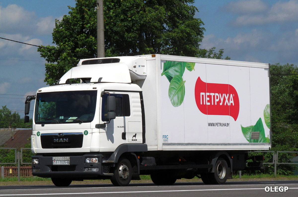 Могилёвская область, № АІ 7025-6 — MAN TGL 12.220