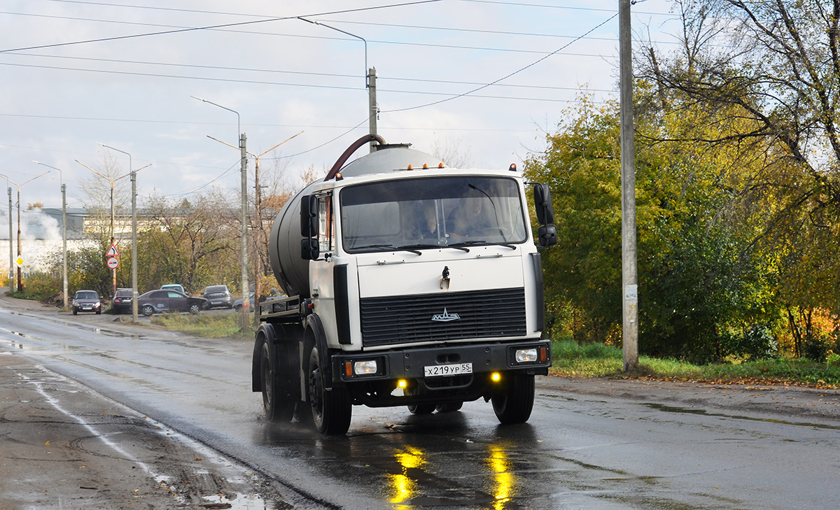 Омская область, № Х 219 УР 55 — МАЗ-543302