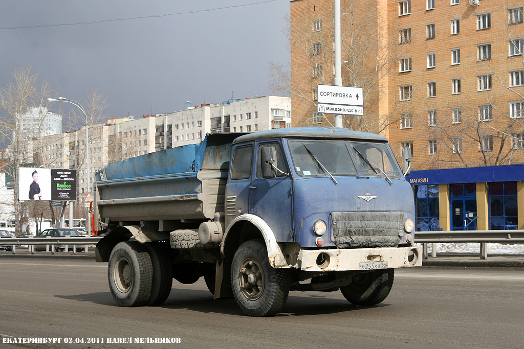 Свердловская область, № Х 255 КА 66 — МАЗ-5549