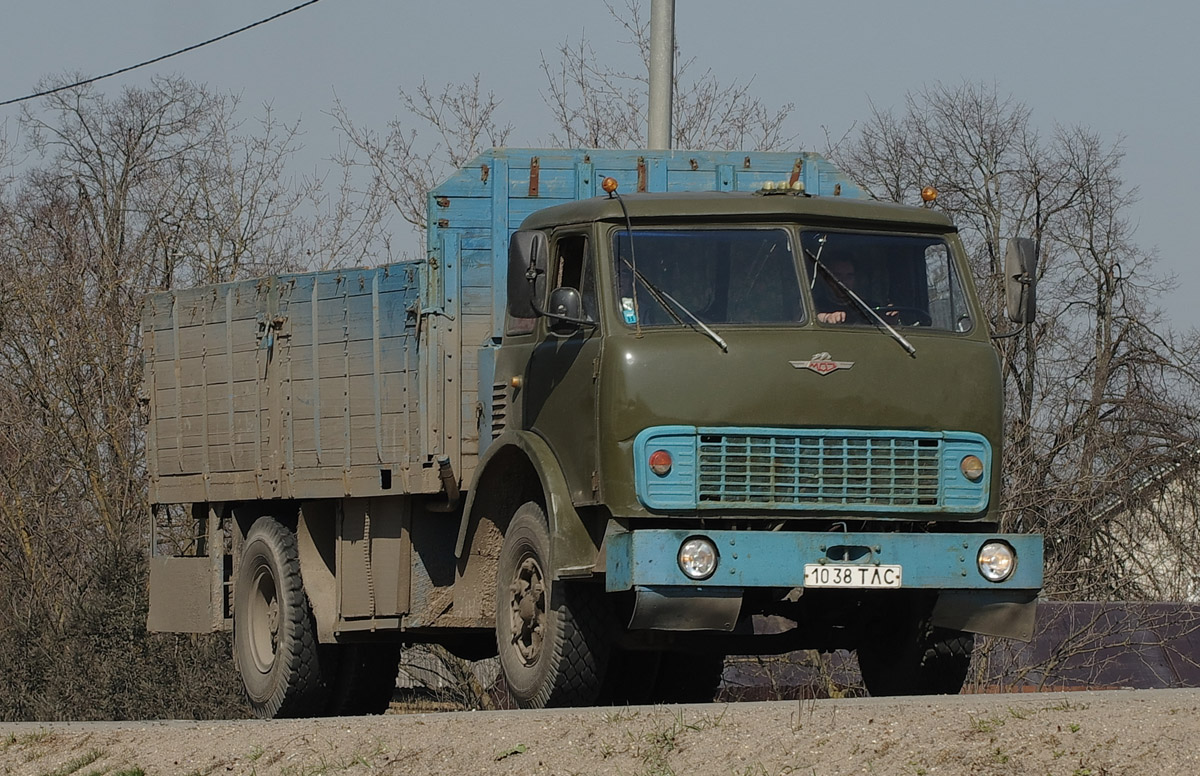 Тульская область, № 1038 ТЛС — МАЗ-5335
