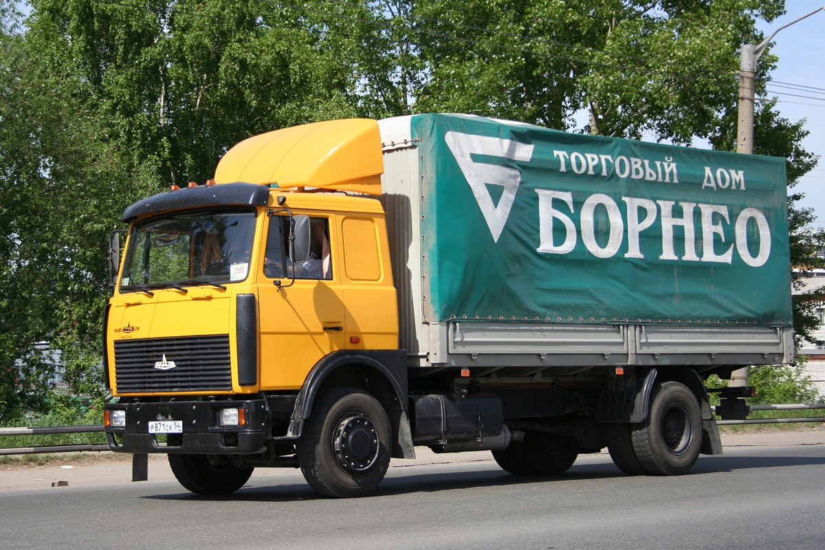 Новосибирская область, № Р 871 СК 54 — МАЗ-533603