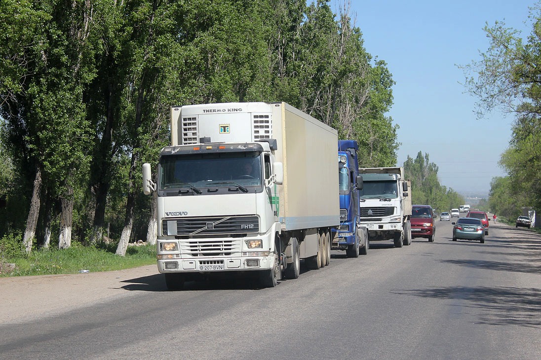 Алматинская область, № B 207 BVN — Volvo ('1993) FH-Series