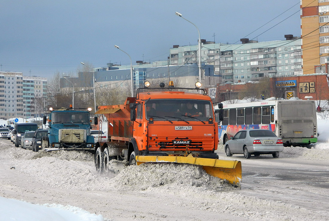 Новосибирская область, № Н 589 ТХ 54 — КамАЗ-65115-D3(97)