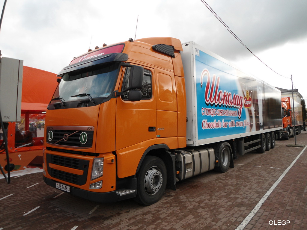 Гомельская область, № АЕ 9418-3 — Volvo ('2008) FH.460