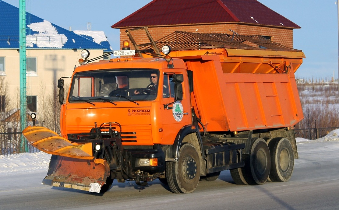 Ямало-Ненецкий автоном.округ, № В 528 СН 89 — КамАЗ-65115 (общая модель)