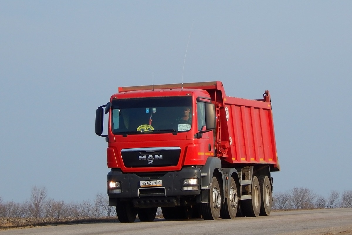 Белгородская область, № Н 242 ЕО 31 — MAN TGS 41.390