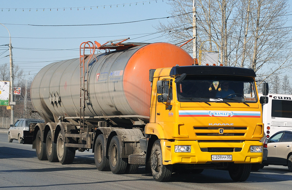 Омская область, № С 209 РР 55 — КамАЗ-65116-N3(78)
