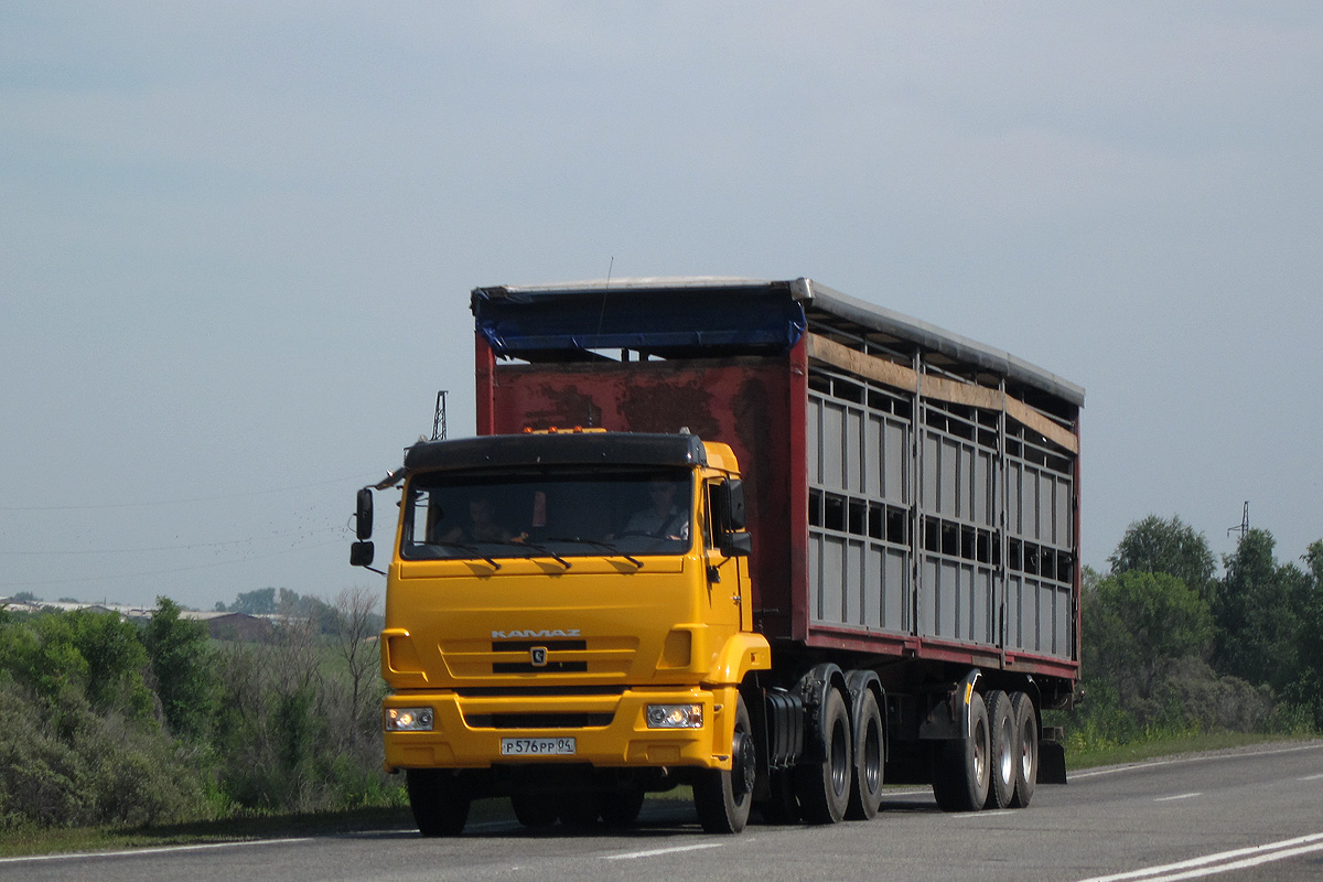 Алтай, № Р 576 РР 04 — КамАЗ-65116-N3(78)