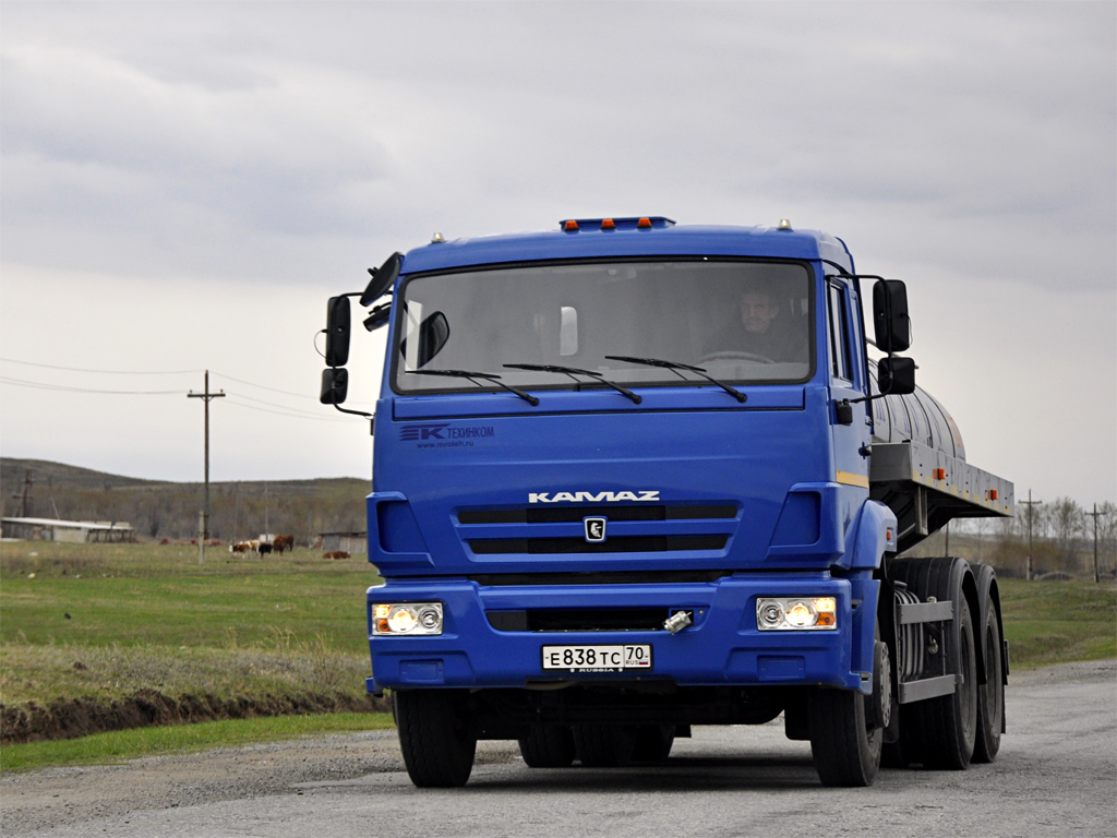 Томская область, № Е 838 ТС 70 — КамАЗ-65115-D3(97)
