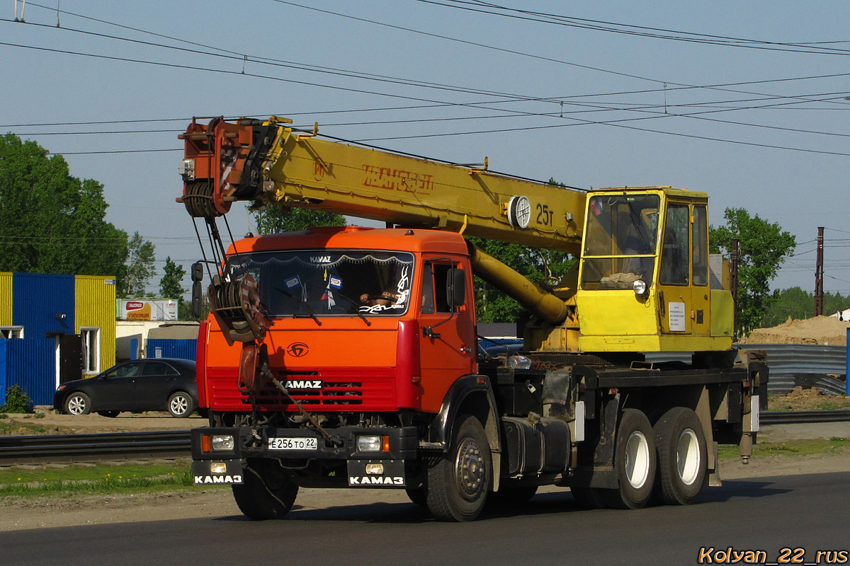 Алтайский край, № Е 256 ТО 22 — БАЗ-8029