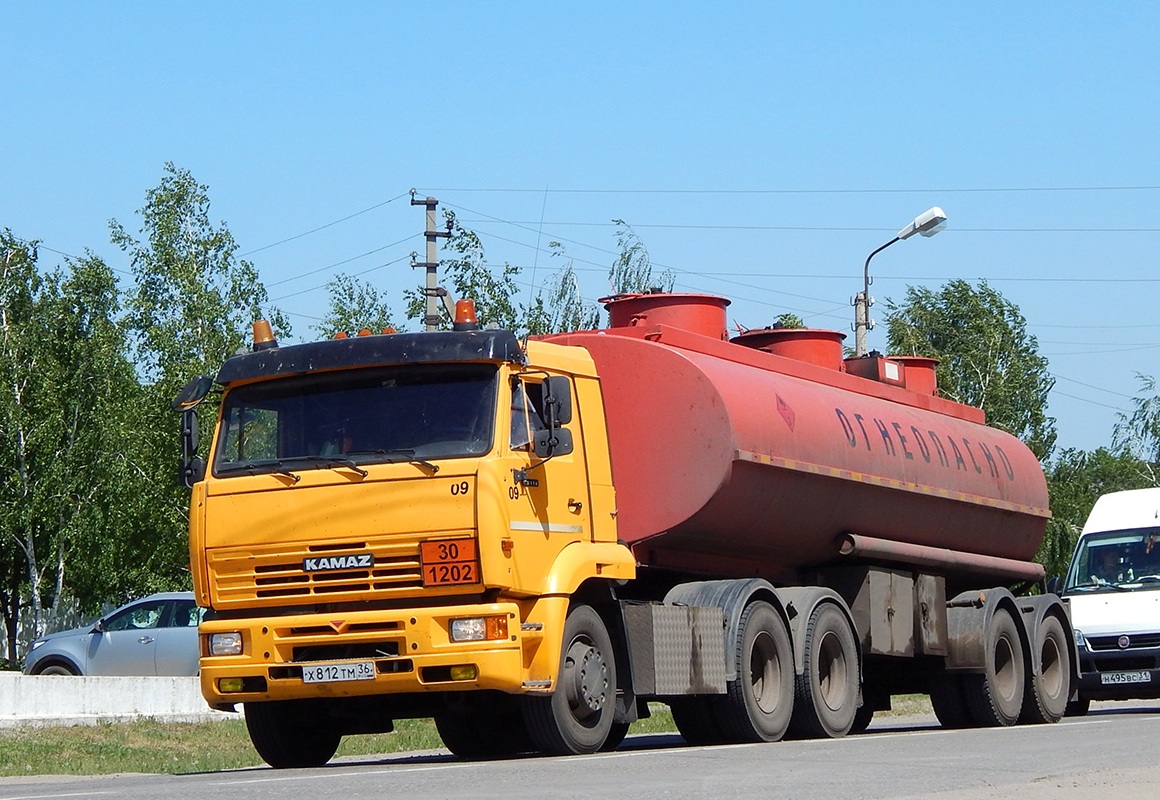 Воронежская область, № 09 — КамАЗ-65116-62