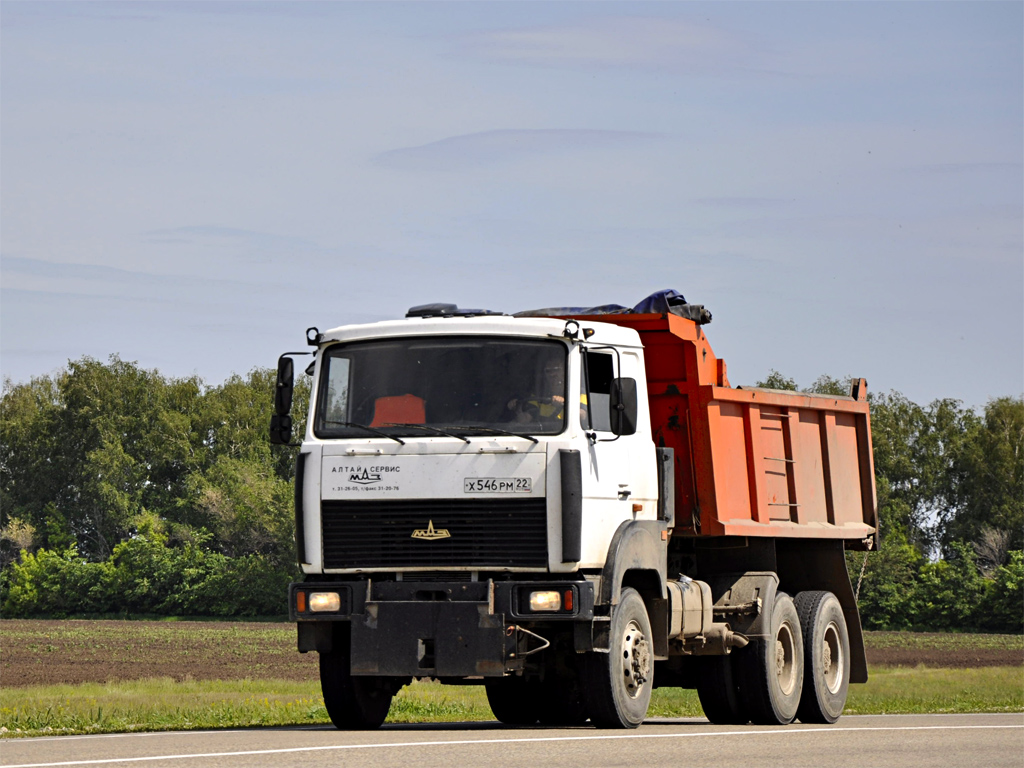 Алтайский край, № Х 546 РМ 22 — МАЗ-651705