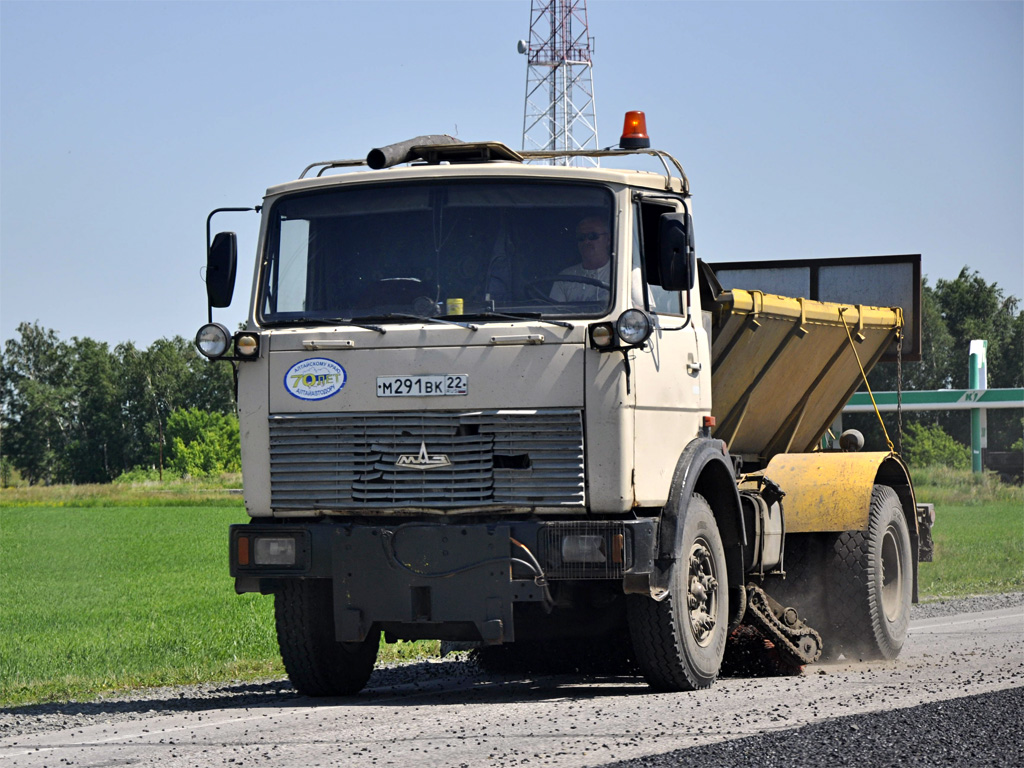 Алтайский край, № М 291 ВК 22 — МАЗ-5337 [533700]