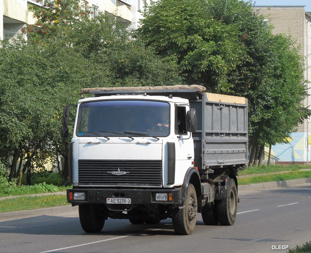 Витебская область, № АЕ 5275-2 — МАЗ-5551A2