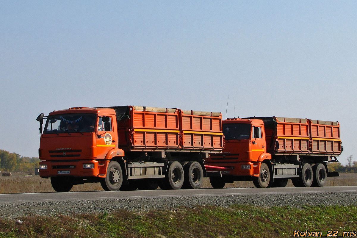 Алтайский край, № С 496 УР 22 — КамАЗ-65115-N3(78)