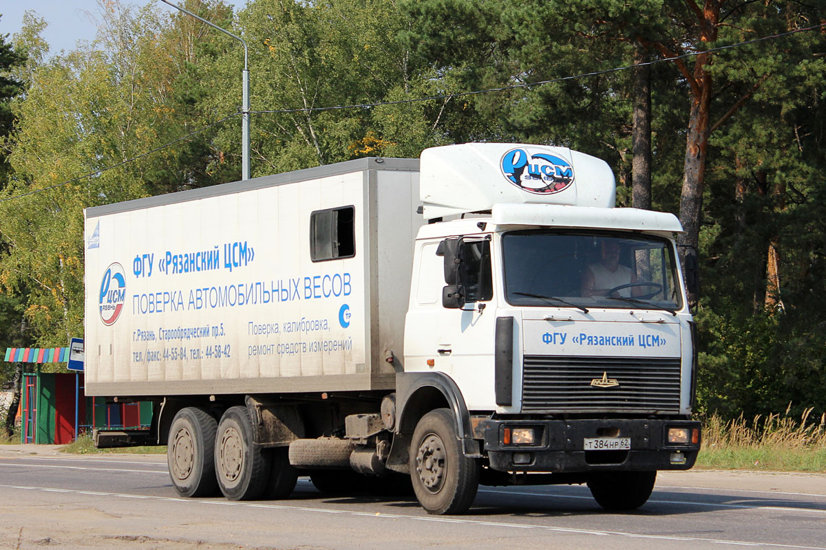 Рязанская область, № Т 384 НР 62 — МАЗ-6303A5