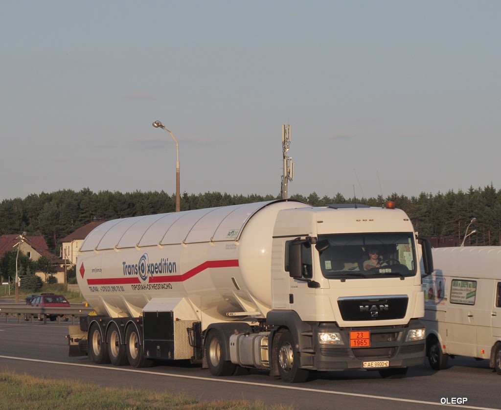 Витебская область, № АЕ 9900-2 — MAN TGS (общая модель)