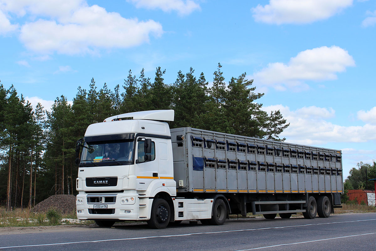 Воронежская область, № У 550 ХР 36 — КамАЗ-5490-T5(68)