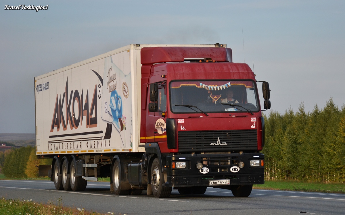 Чувашия, № А 664 МУ 21 — МАЗ-5440A8