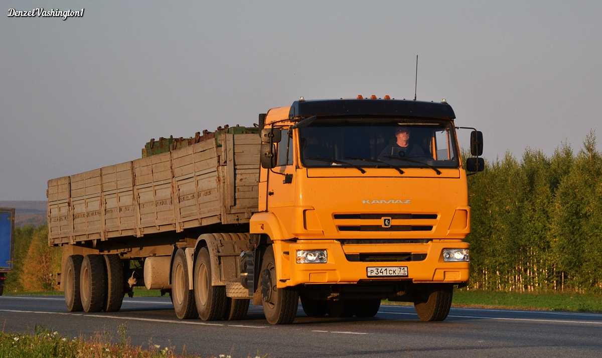 Тульская область, № Р 341 СК 71 — КамАЗ-65116-A4(23)