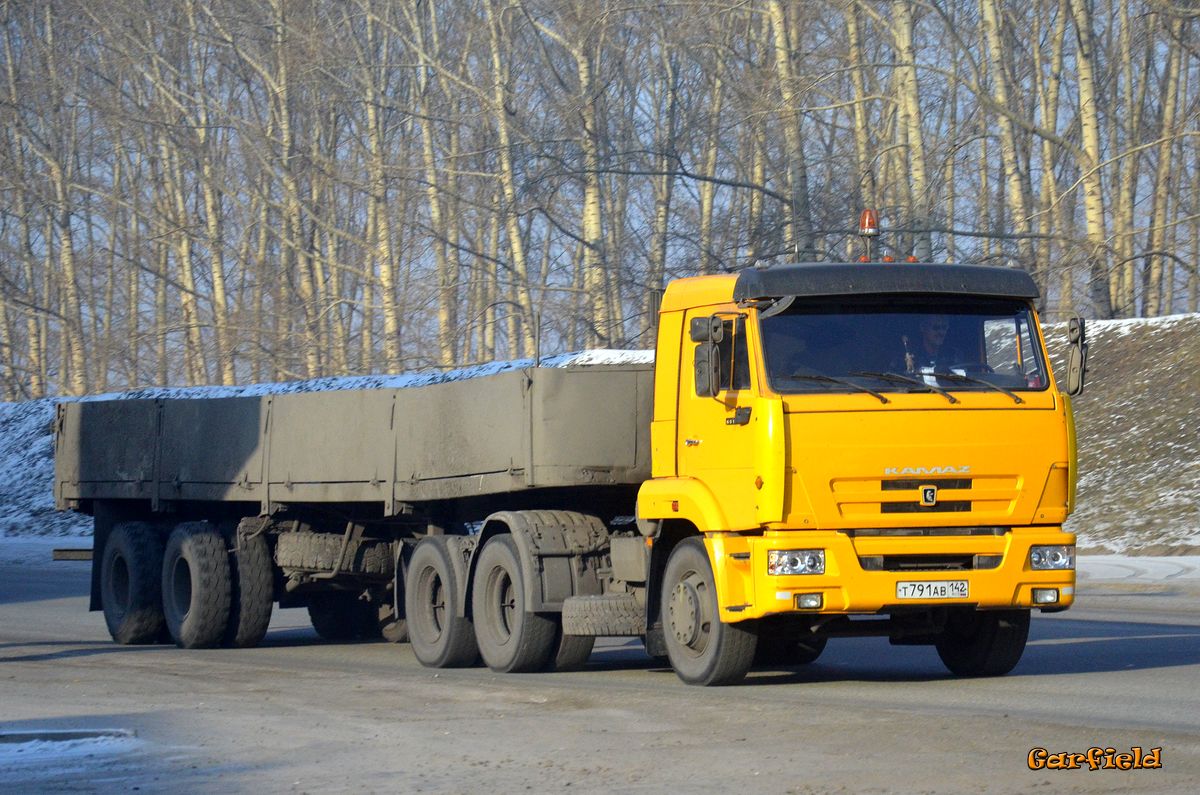 Кемеровская область, № Т 791 АВ 142 — КамАЗ-65116-N3(78)